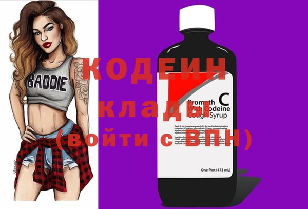ПСИЛОЦИБИНОВЫЕ ГРИБЫ Заводоуковск