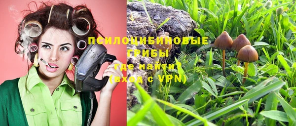 ПСИЛОЦИБИНОВЫЕ ГРИБЫ Заводоуковск