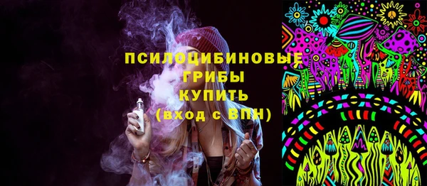 ПСИЛОЦИБИНОВЫЕ ГРИБЫ Заволжск