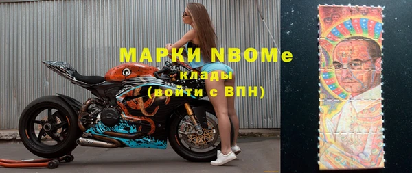ПСИЛОЦИБИНОВЫЕ ГРИБЫ Заводоуковск