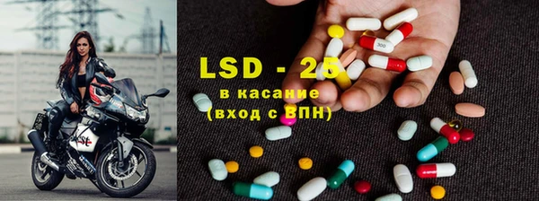 ПСИЛОЦИБИНОВЫЕ ГРИБЫ Заводоуковск