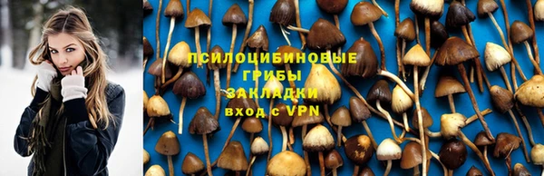 синтетический гашиш Зеленодольск