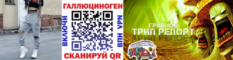 Купить где  Губкинский  Псилоцибиновые грибы мухоморы 